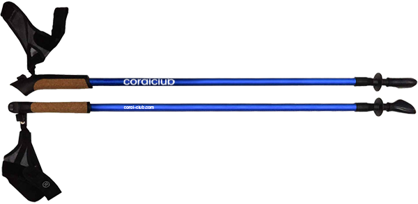 Палки для скандинавської ходьби