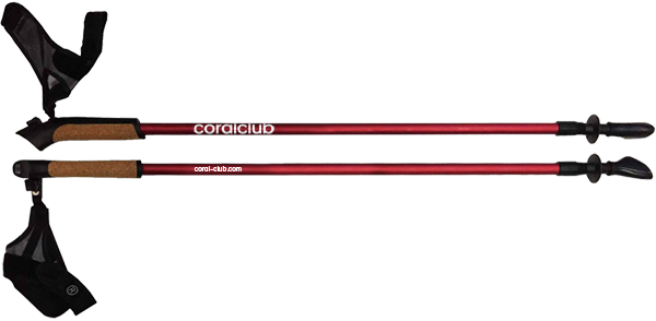 Палки для скандинавської ходьби