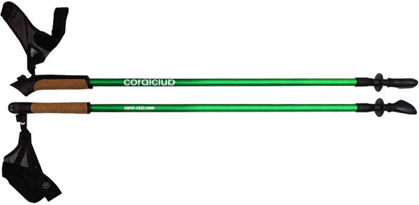 Палки для скандинавської ходьби